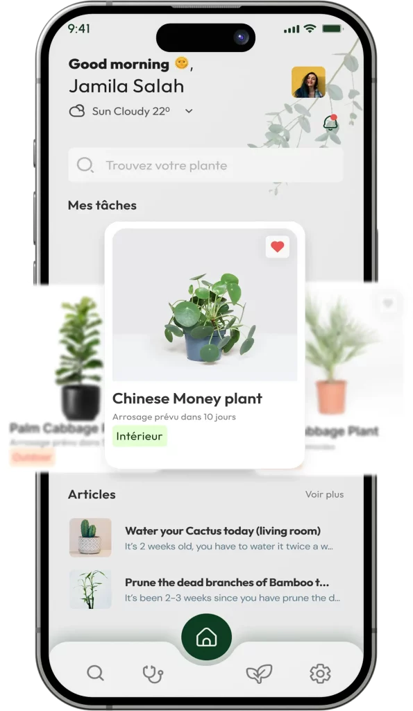Ecran d'acceuil Planty Care / Homepage plantycare