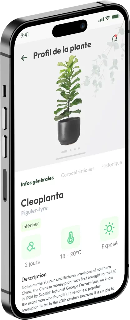 Profil de la plante / Plant details