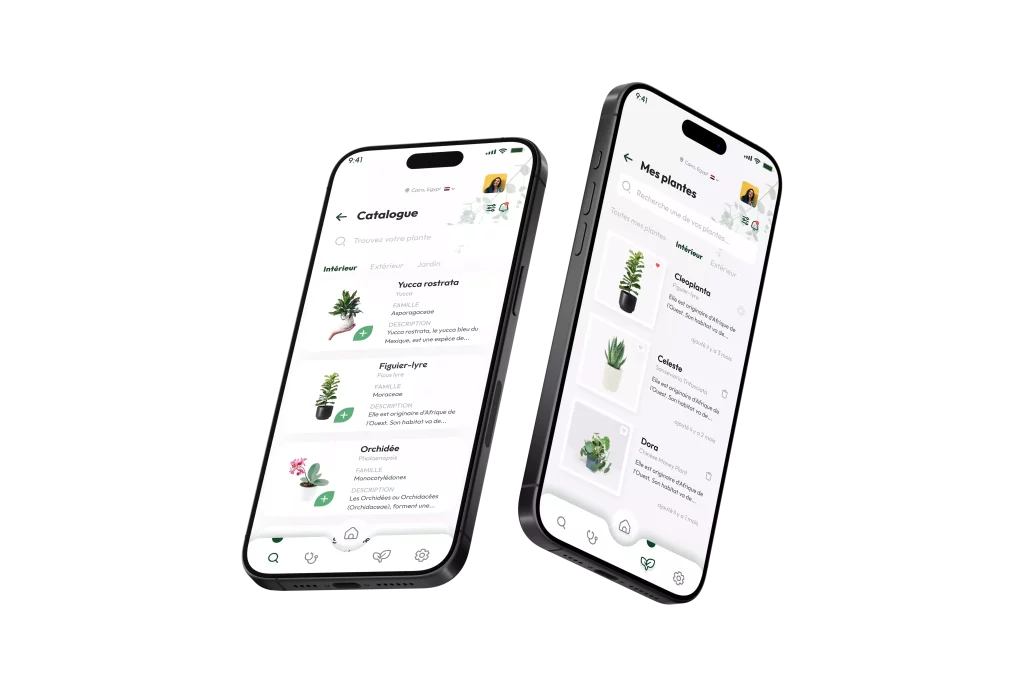 Catalogue de plantes / Plants catalog